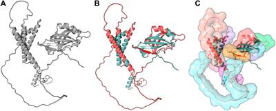 Artificial intelligence-driven reverse vaccinology for Neisseria gonorrhoeae vaccine: Prioritizing epitope-based candidates